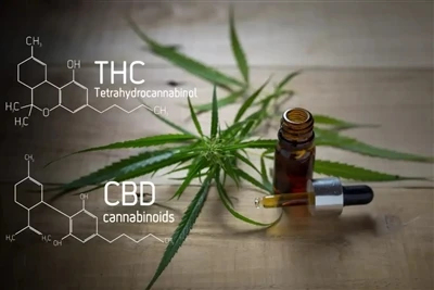 10 Delta Terbaik 9 Dibuang: 2025 Panduan Terkini