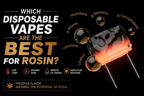 Vape Pakai Pakai Mana Yang Terbaik Untuk Rosin?